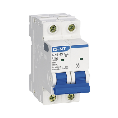 Pastilla para Riel Din, 2 Polos, 16 Amp, Vca:110/415v, 6kA, Catálogo: NXB632PC16, Serie: NXB-63.
